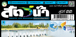 ปก นิตยสาร สัตว์น้ำ ฉบับ 390