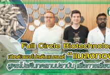 Full Circle Biotechnology เปิดตัวผงโปรตีนแบรนด์ “แมลงทอง” สูตรโปรตีนทดแทนปลาป่น เพื่อการเลี้ยงกุ้ง ปก โปรตีนแมลงวันทอง