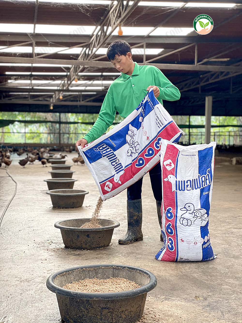 4.ขวัญข้าวฟาร์ม04