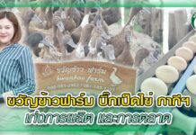 ขวัญข้าวฟาร์ม บิ๊กเป็ดไข่ กากีฯ เก่งการผลิต และการตลาด ปก ขวัญข้าวฟาร์ม