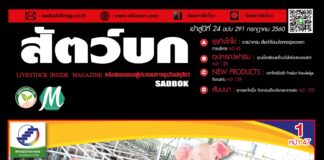 นิตยสารสัตว์บก ฉบับ 291