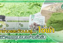 จากข้าวและวัวนมสู่… ไข่ผำ ชุบชีวิตและชุมชนอย่างยั่งยืน ปก ไข่ผำ