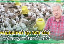 ผู้ใหญ่ประวิทย์ ทุ่ม 600 ล้าน สร้างโรงฆ่ามาตรฐาน เพิ่มการเลี้ยงไก่เนื้อ ปก ประวิทย์ฟาร์ม