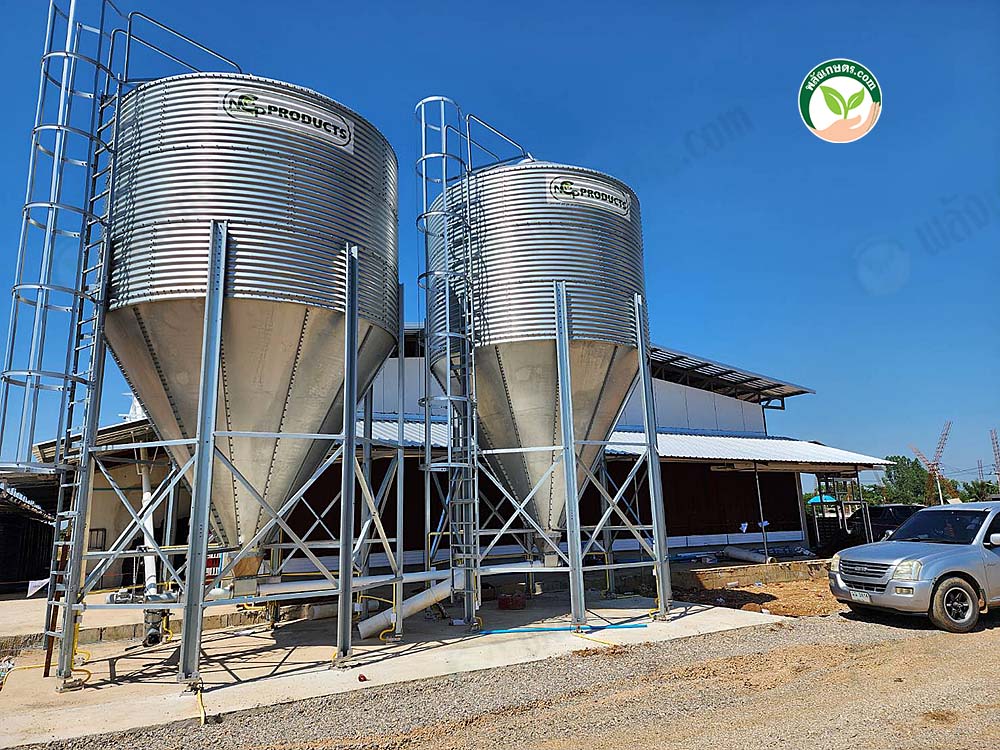 5.ตรัยมงคลกูล05