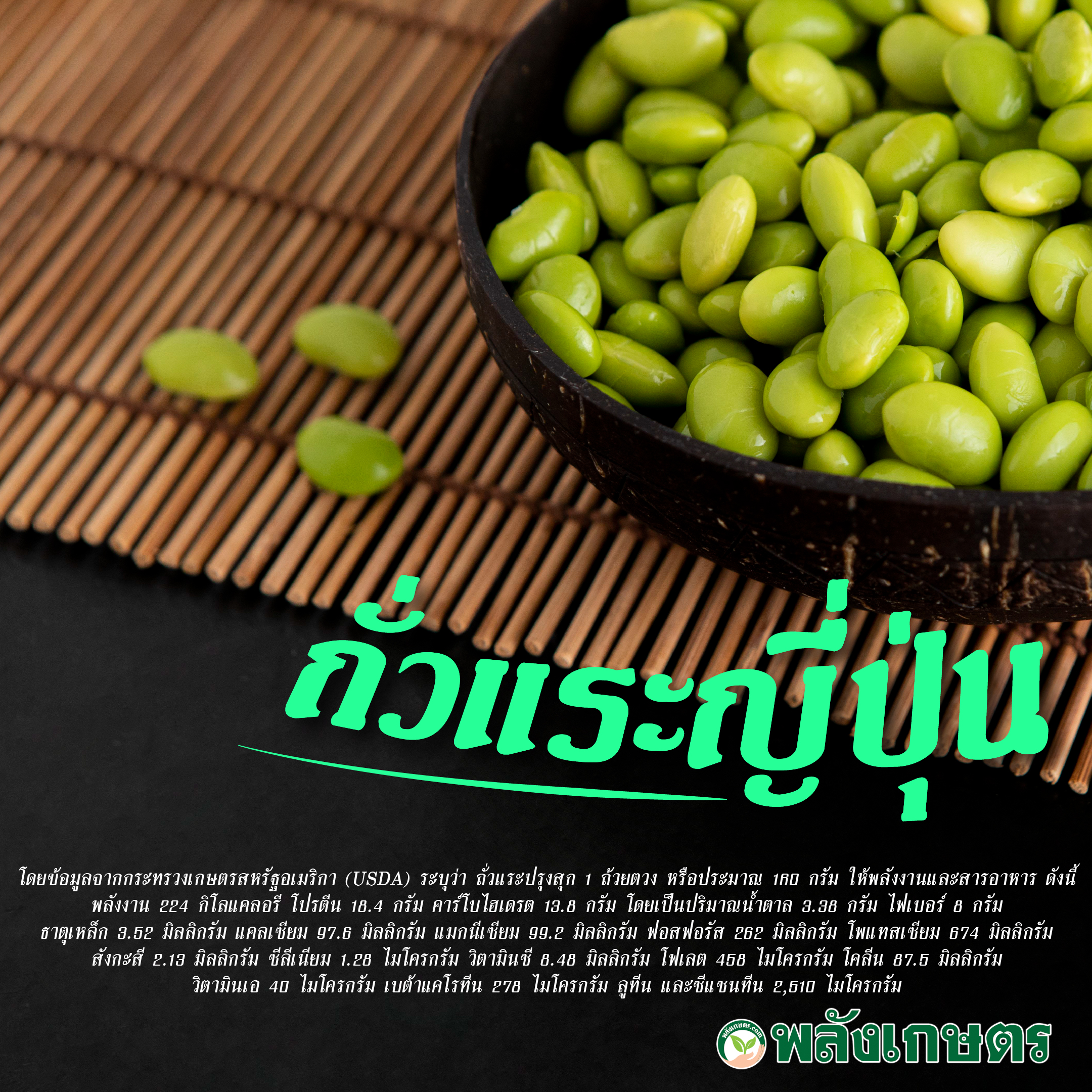 ถั่วแระญี่ปุ่น