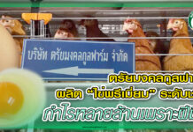 ตรัยมงคลกูลฟาร์ม ผลิต “ไข่พรีเมี่ยม” ระดับชาติ กำไรหลายล้านเพราะฝีมือ ปก ตรัยมงคลกูลฟาร์ม