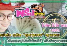 พริ้งฟาร์ม ผลิต “ลูกกุ้งขาว” คุณภาพ ด้วยระบบ ไบโอซีเคียวริตี้ เพิ่มอัตราการรอดสูง ปก พริ้งฟาร์ม