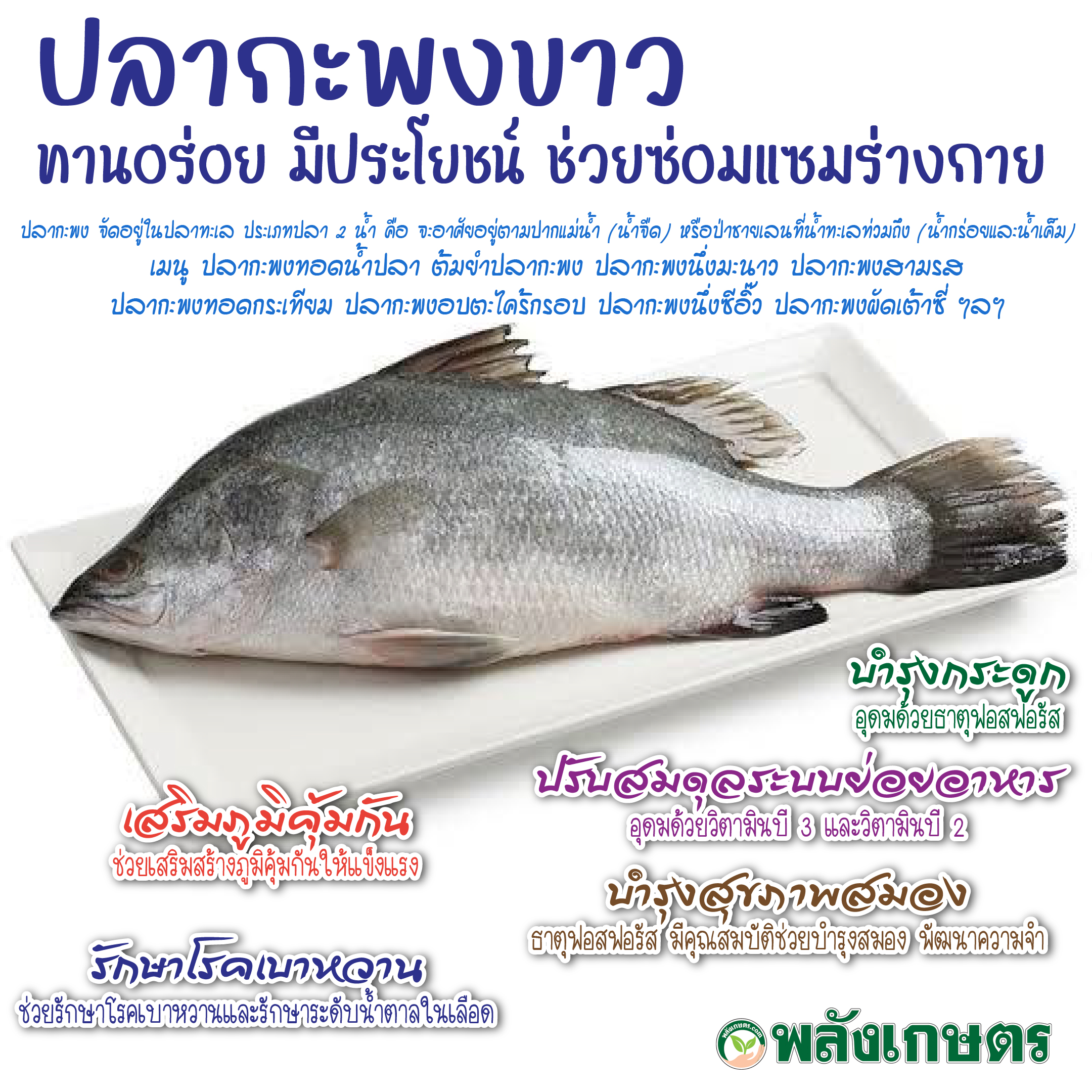 ปลากะพง