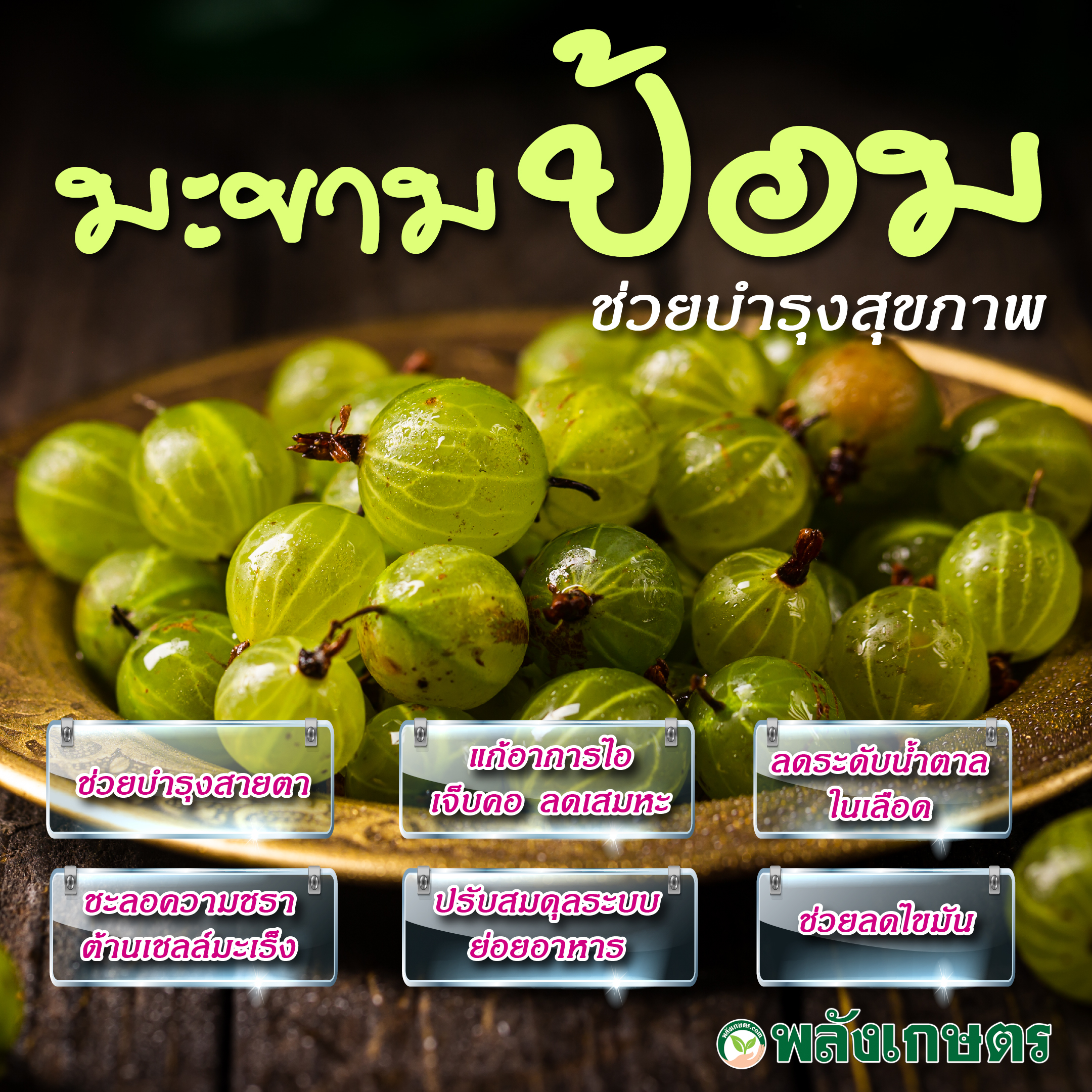มะขามป้อม