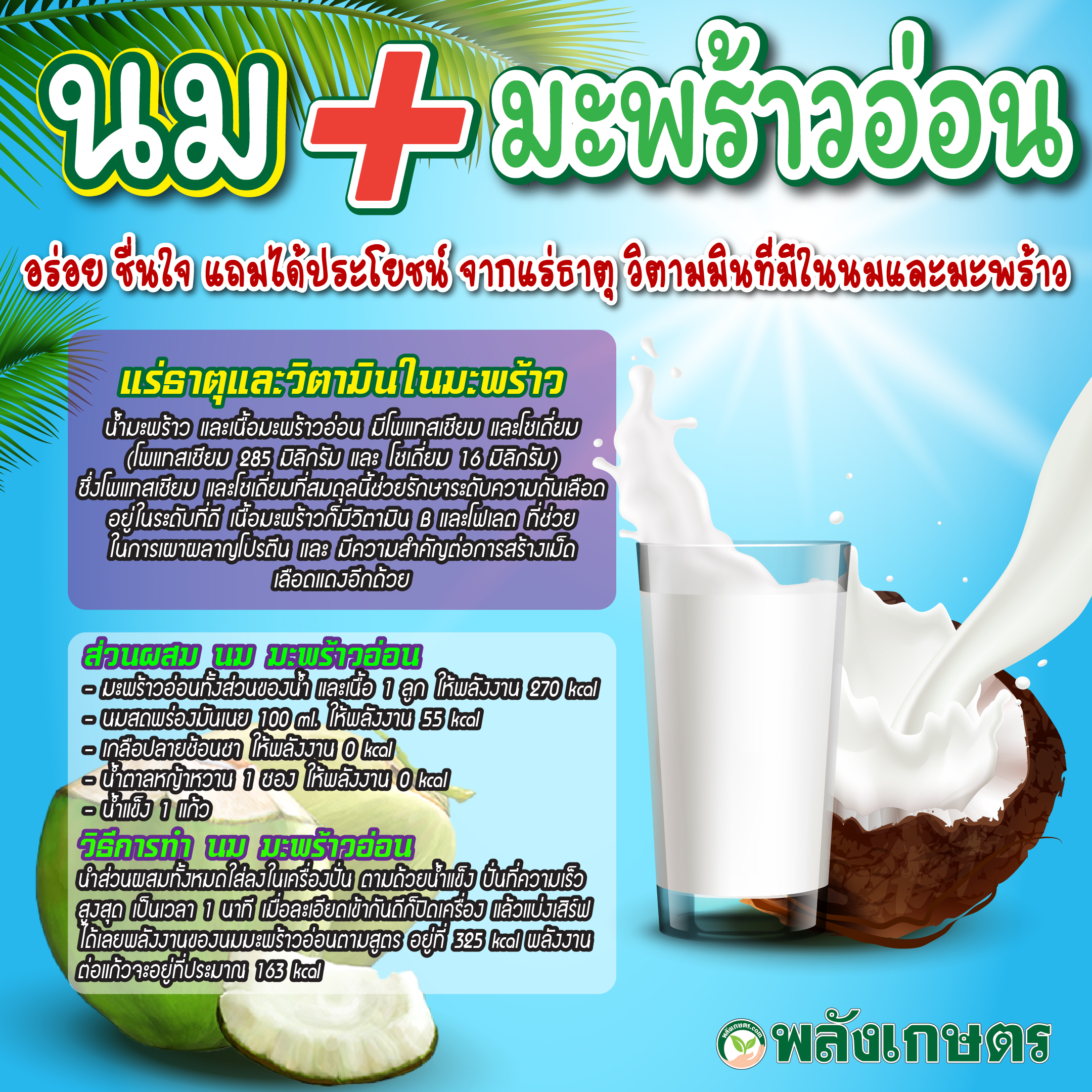 นมมะพร้าวอ่อน