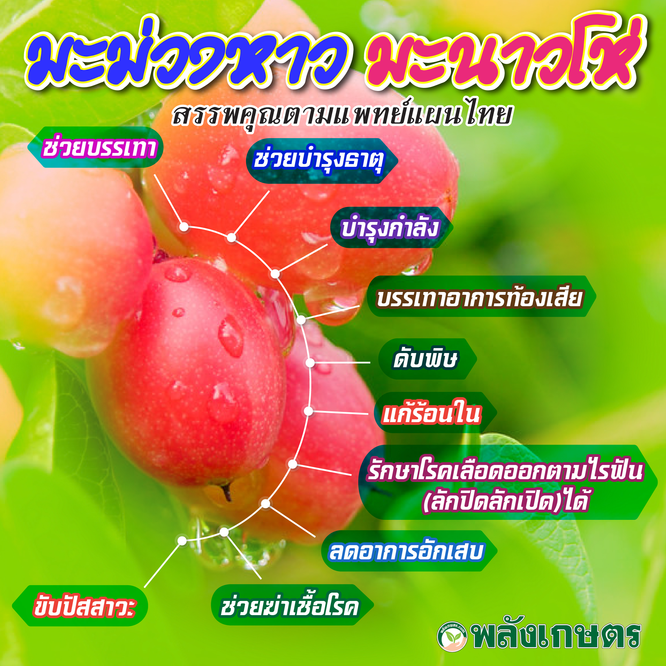 มะม่วงหาว-มะนาวโห่