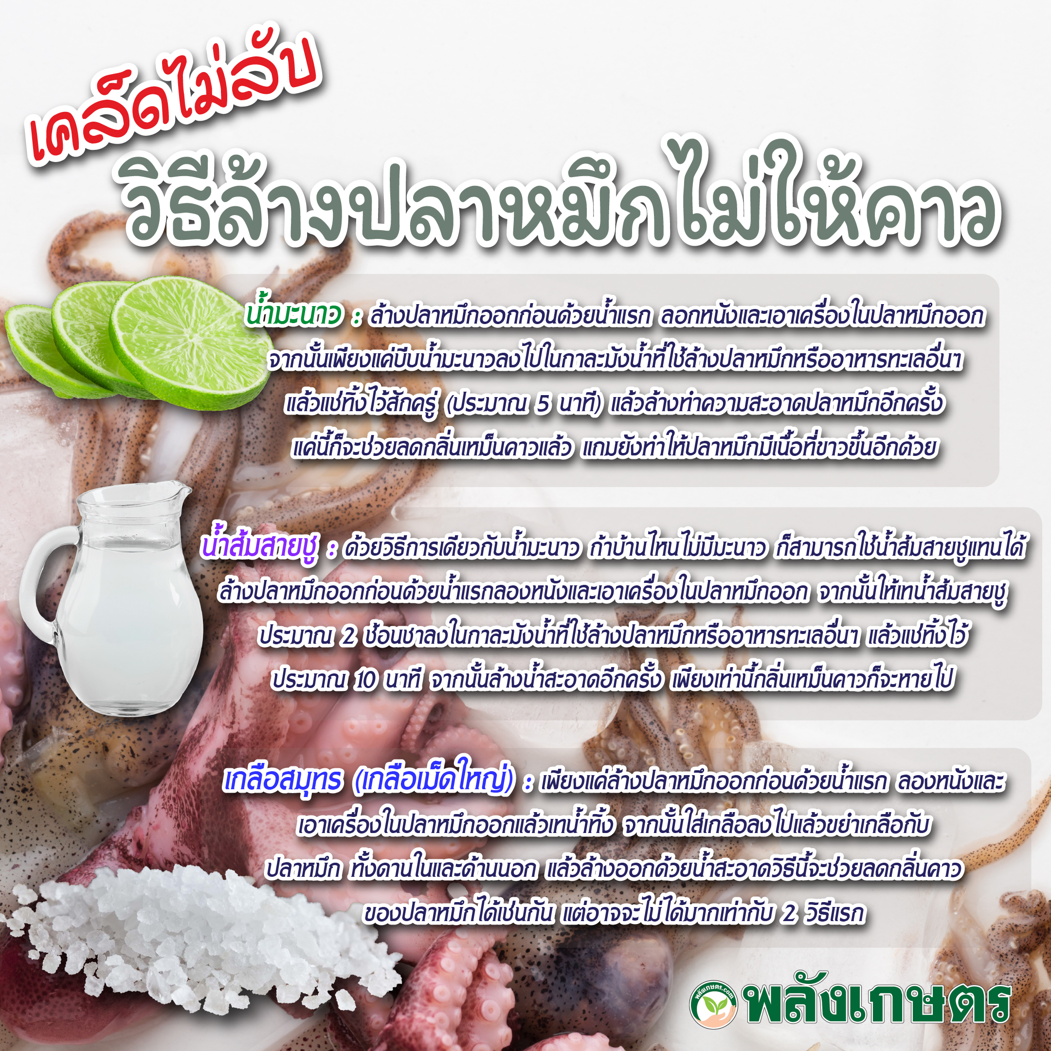 วิธีล้างปลาหมึกไม่ให้คาว