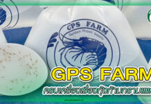 GPS FARM ครบเครื่องเรื่องกุ้งก้ามกรามเพศผู้ ปก GPS FARM