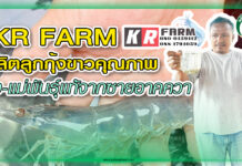 KR FARM ผลิตลูกกุ้งขาวคุณภาพ พ่อ-แม่พันธุ์แท้จากซายอาคควา ปก KR FARM