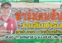 คมสันฟาร์ม ลูกเล้า เกรด A ไก่เนื้อคาร์กิลล์ฯ ฟันธง “การจัดฟาร์ม” แบบเข้มข้น คือ หัวใจ ปก คมสันฟาร์ม