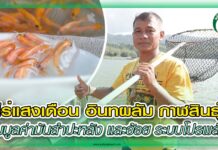 วิสาหกิจชุมชนเลี้ยงปลาในกระชัง ผลิตปลาทับทิมปลอดสารเคมี ลูกพันธุ์น้ำใสฟาร์ม ปก วิสาหกิจชุมชนเลี้ยงปลาในกระชัง ลูกพันธุ์น้ำใสฟาร์ม