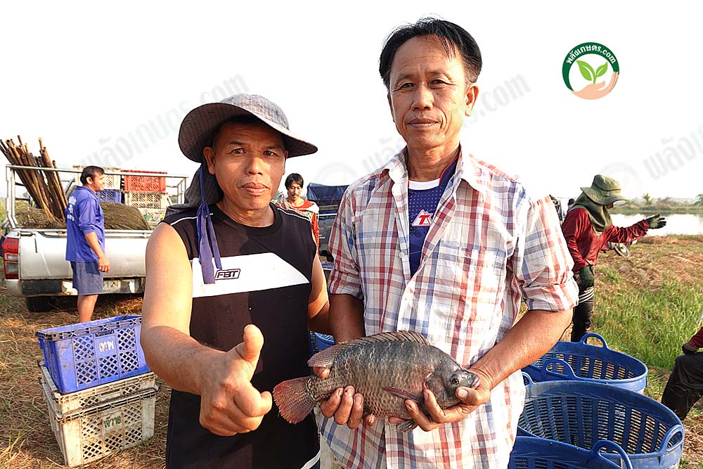 1.คุณแมว และ คุณตะวัน