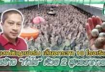กฤษณ์นิญาฟาร์ม เลี้ยงกระทา 10 โรงเรือน สร้าง “กำไร” ด้วย 2 สูตรอาหาร ปก สัตว์บก 370 - ฟาร์มนกกระทา คุณบอย