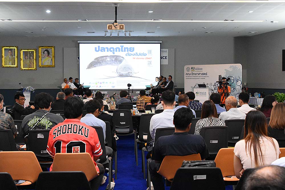 11.ปลาดุกไทย11