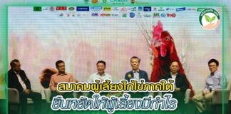 ปกเว๊ปสมาคมผู้เลี้ยงไก่ไข่ภาคใต้