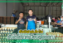 รังษีฟาร์มไก่ไข่ ล้งไข่ไฮเทคเมืองสุพรรณ สัตว์บก 370 - รังษีฟาร์มล้งไข่ copy