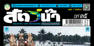 ปก นิตยสาร สัตว์น้ำ ฉบับ 416 (เมษายน 2567)