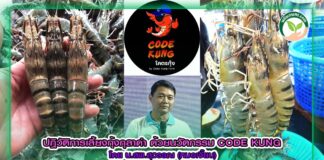 ปกเลี้ยงกุ้งกุลาดำด้วยนวัตกรรม Code Kung copy 2