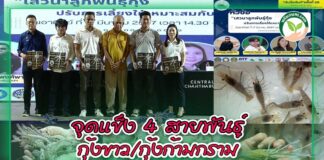 ปกคลิปข่าวจุดแข็งกุ้ง4สายพันธุ์ copy 2