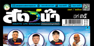 ปก E-BOOK นิตยสาร สัตว์น้ำ ฉบับ 419 (กรกฎาคม 2567)