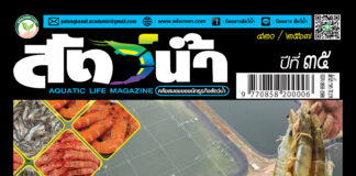 นิตยสาร สัตว์น้ำ ฉบับ 420 (สิงหาคม 2567)