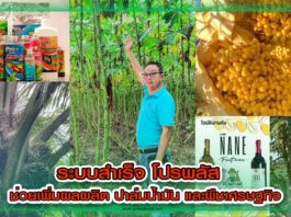 ปกระบบสำเร็จโปรพลัส อ.เล็ก copy