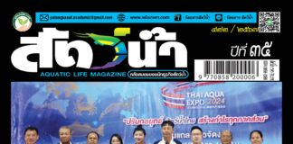 ปก นิตยสาร สัตว์น้ำ ฉบับ 422 (ตุลาคม 2567)