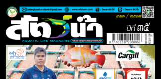 ปก นิตยสาร สัตว์น้ำ ฉบับ 423 (พฤศจิกายน 2567)