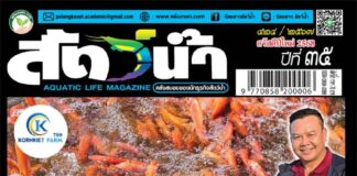 ปก นิตยสาร สัตว์น้ำ ฉบับ 424 (ธันวาคม 2567)