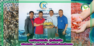 กรเกียรตฟาร์มมุ่งส่งเสริมผลิตผลานิลปลาทับทิม