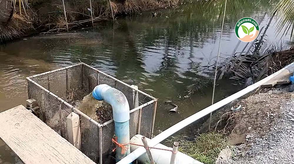 ท่อดูดเลน