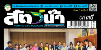 ปก นิตยสาร สัตว์น้ำ ฉบับ 431 (กรกฎาคม 2568)