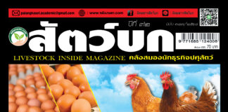 ปก นิตยสาร สัตว์บก ฉบับ 387 (กรกฎาคม 2568)
