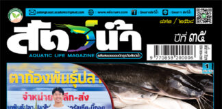 ปก นิตยสาร สัตว์น้ำ ฉบับ 432 (สิงหาคม 2568)