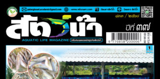 ปก นิตยสาร สัตว์น้ำ ฉบับ 433 (กันยายน 2568)