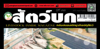 ปก นิตยสาร สัตว์บก ฉบับ 389 (กันยายน 2568)