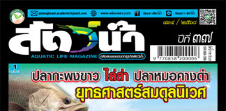 ปก นิตยสาร สัตว์น้ำ ฉบับ 434 (ตุลาคม 2568)