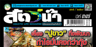 ปก นิตยสาร สัตว์น้ำ ฉบับ 435 (พฤศจิกายน 2568)